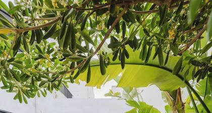 This house is a 3 bedroom(s), 3 bathrooms, located in Il-Mellieħa, null.