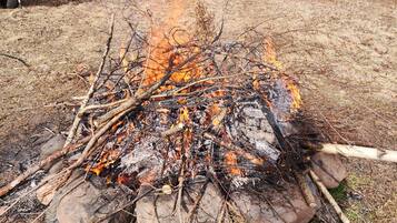 A campfire in a forested area with trees in the background.
