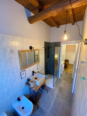 Assecador de cabells, tovalloles, sabó i paper higiènic 