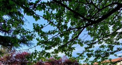 Ruti's House - Cozy studio apartment near Malpensa and Fiera Milano