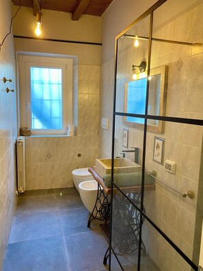 Shower, jetted tub, hair dryer, bidet
