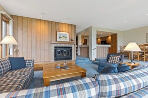 TV, fireplace, books, printers