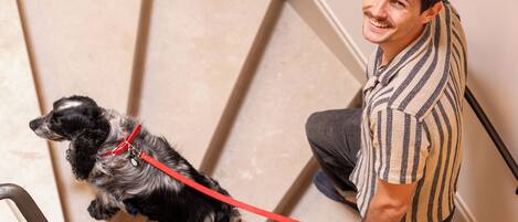 A person descending a staircase with a dog on a leash.