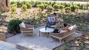 A garden with a stone wall, a paved area, and a view of a vineyard. - Le Prieuré - Château La Martinette (Le Thoronet)