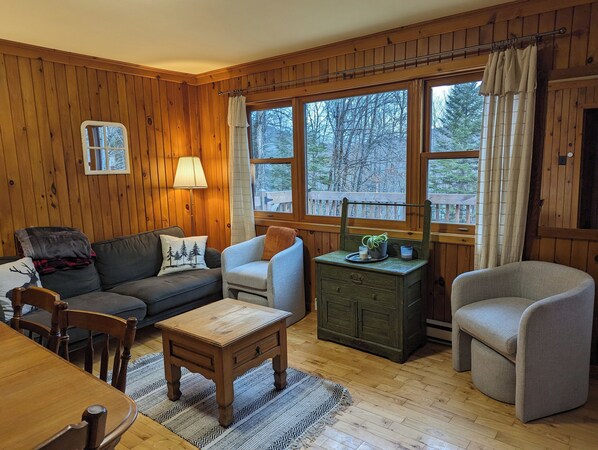 Smart TV, fireplace, books