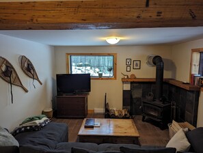 Smart TV, chimenea, libros
