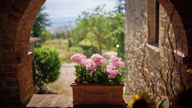 A rustic stone archway leading to a garden with potted pink flowers and a sunflower. - Agriturismo Le Case (Castiglione d'Orcia)