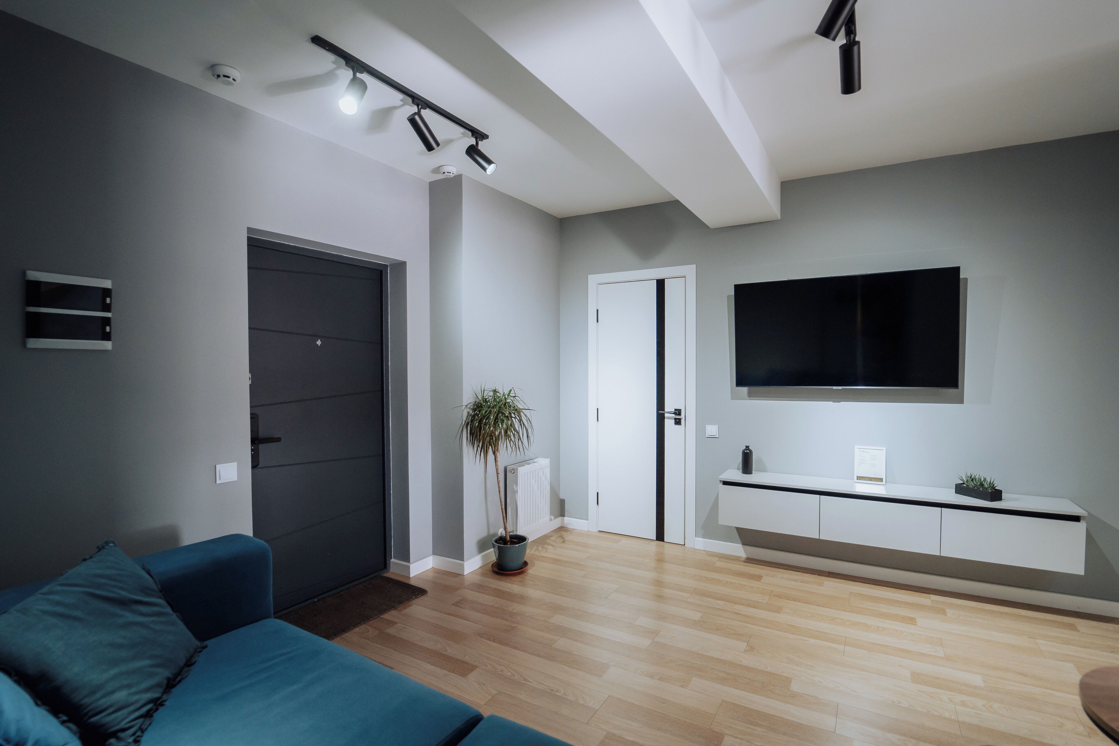 Una sala moderna con un sofá, un televisor montado en la pared, una puerta y una planta en maceta.
