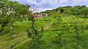 Paesaggio rurale con una casa, campi verdi e alberi.