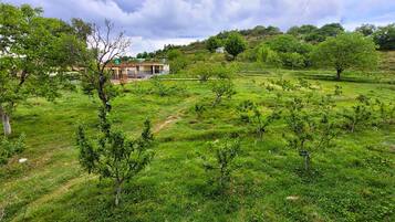 Deluxe Single Room, 1 Double Bed, Mountain View | Balcony view