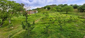 Deluxe Single Room, 1 Double Bed, Mountain View | Balcony view - Morning Breeze Homestay Kanatal (Tehri Range)