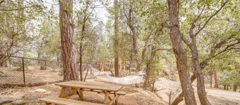 Near Fossil Creek & Trails: Scenic Pine Cabin!
