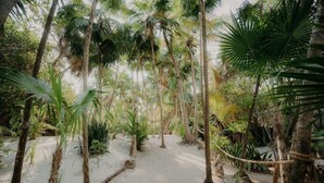 A pathway surrounded by tall palm trees and dense foliage. - Premium Condo With Terrace Pool View (Tulum)