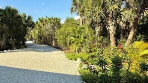 A pathway leading through a garden with various plants and trees. - Black Skimmer Home | Relaxing Sanibel Escape, Walk to Beach (Sanibel)