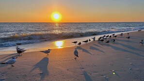 Guests can enjoy the ocean views and sandy shore.