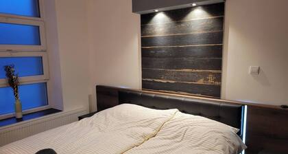 Lovely Apartment in Downtown With Free Parking