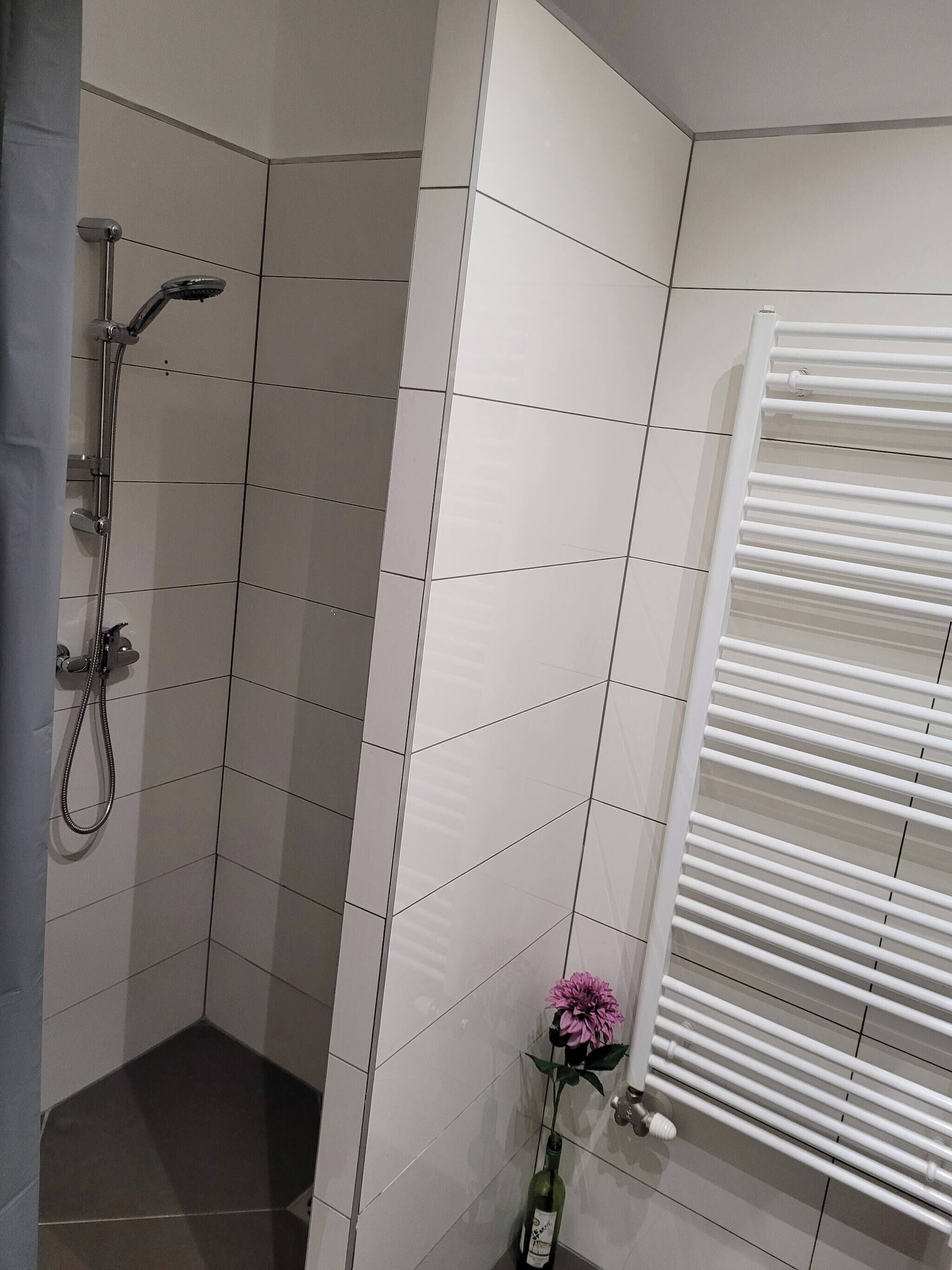 Apartment, 1 Bedroom, Smoking | Bathroom