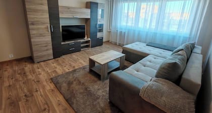 Cozy Downtown Nook Apartment for Rent