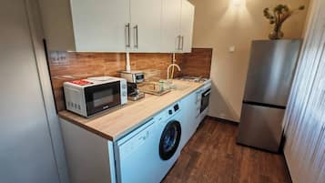 Apartment, 1 Bedroom, City View | Laundry
