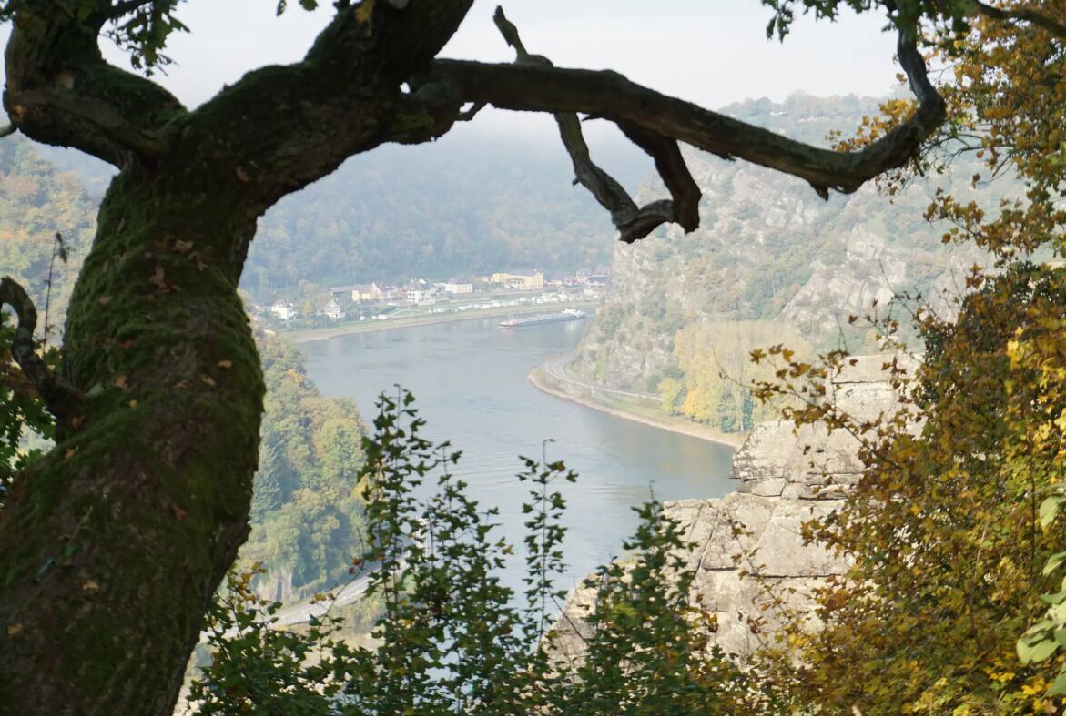 Une rivière traversée par un pont, entourée d’arbres et de collines.