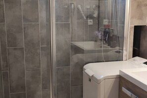 Shower, hair dryer, toilet paper