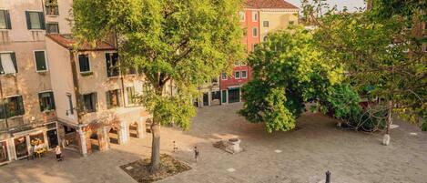 An outdoor courtyard with a large tree, a fountain, and buildings in the background.