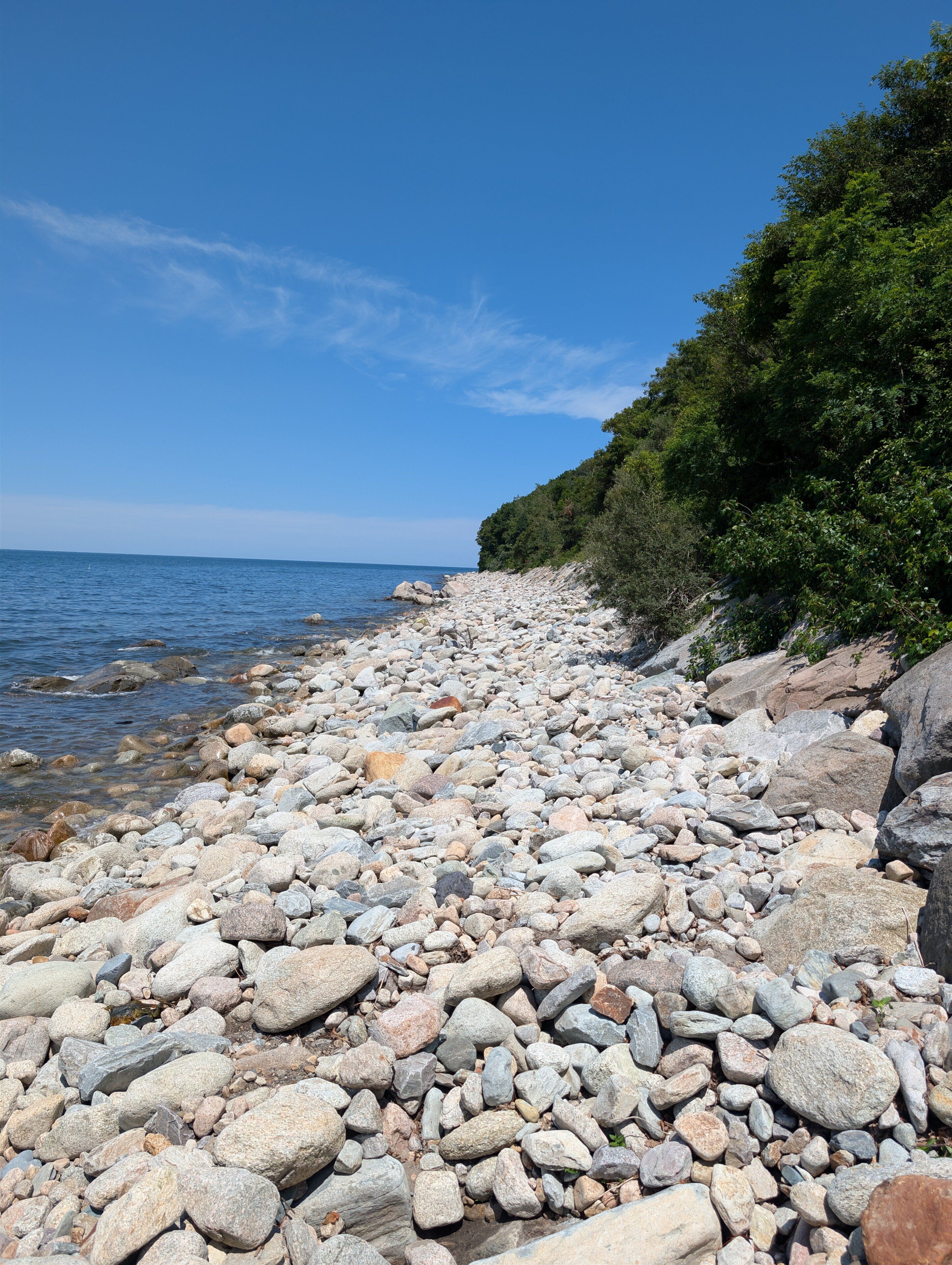 A rocky beach with clear blue water and a forested hillside.