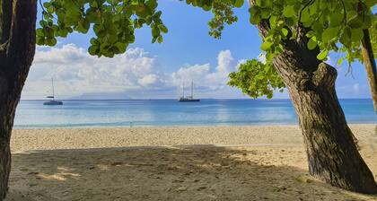 Villa Mimi Beachfront Beau Vallon