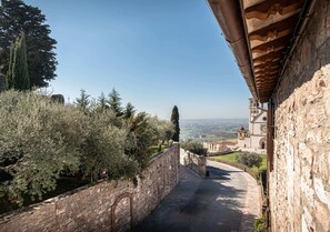 A stone pathway leading to a historic building with a bell tower, surrounded by olive trees and a clear sky. - Le Dimore della Custodia (Assisi)