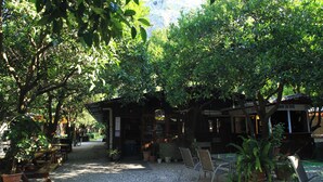 A rustic outdoor seating area with wooden tables and chairs, surrounded by potted plants and trees. - Korsan Pansiyon (Kumluca)