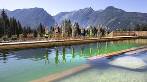 A pool with a mountain backdrop, surrounded by trees and a wooden fence. - Ski-friendly Chalet in Neukirchen (Neukirchen am Grossvenediger)