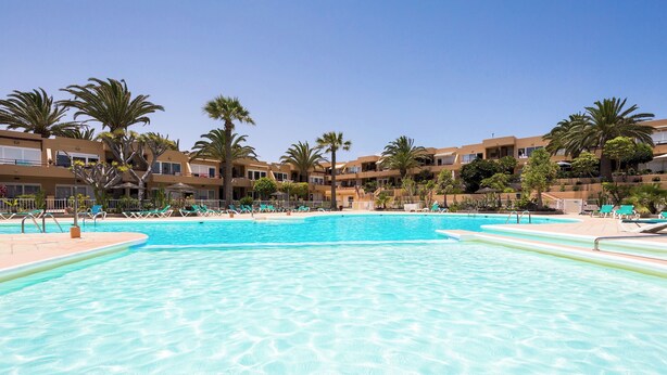 A swimming pool with clear blue water, surrounded by lounge chairs and palm trees.
