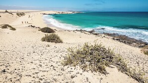 A beach with clear turquoise water, sandy dunes, and sparse vegetation.