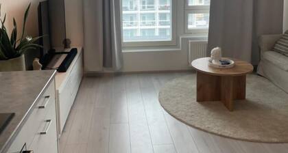 Charming 1-bedroom Apartment in Tampere With Fireplace