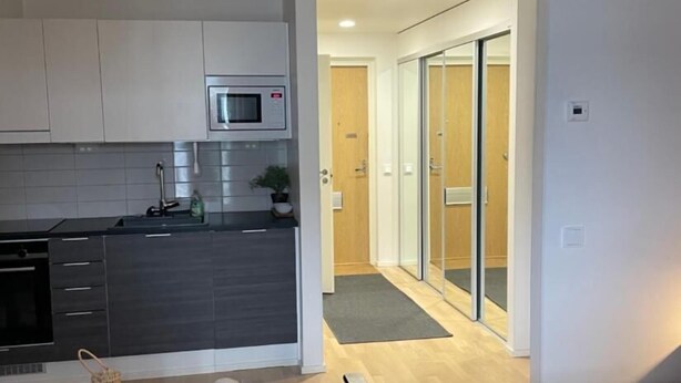 A compact living space with a kitchenette, a sofa, a bed, and a sliding glass door leading to a bathroom.