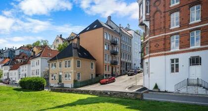 Charming 1-bedroom apartment in Central Bergen with WiFi