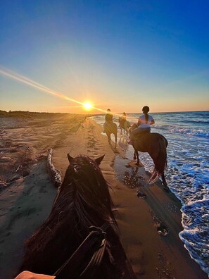 Horseback riding - B&B Aura (Lesina)