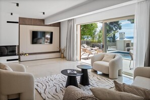 TV, fireplace, video game console, ping pong