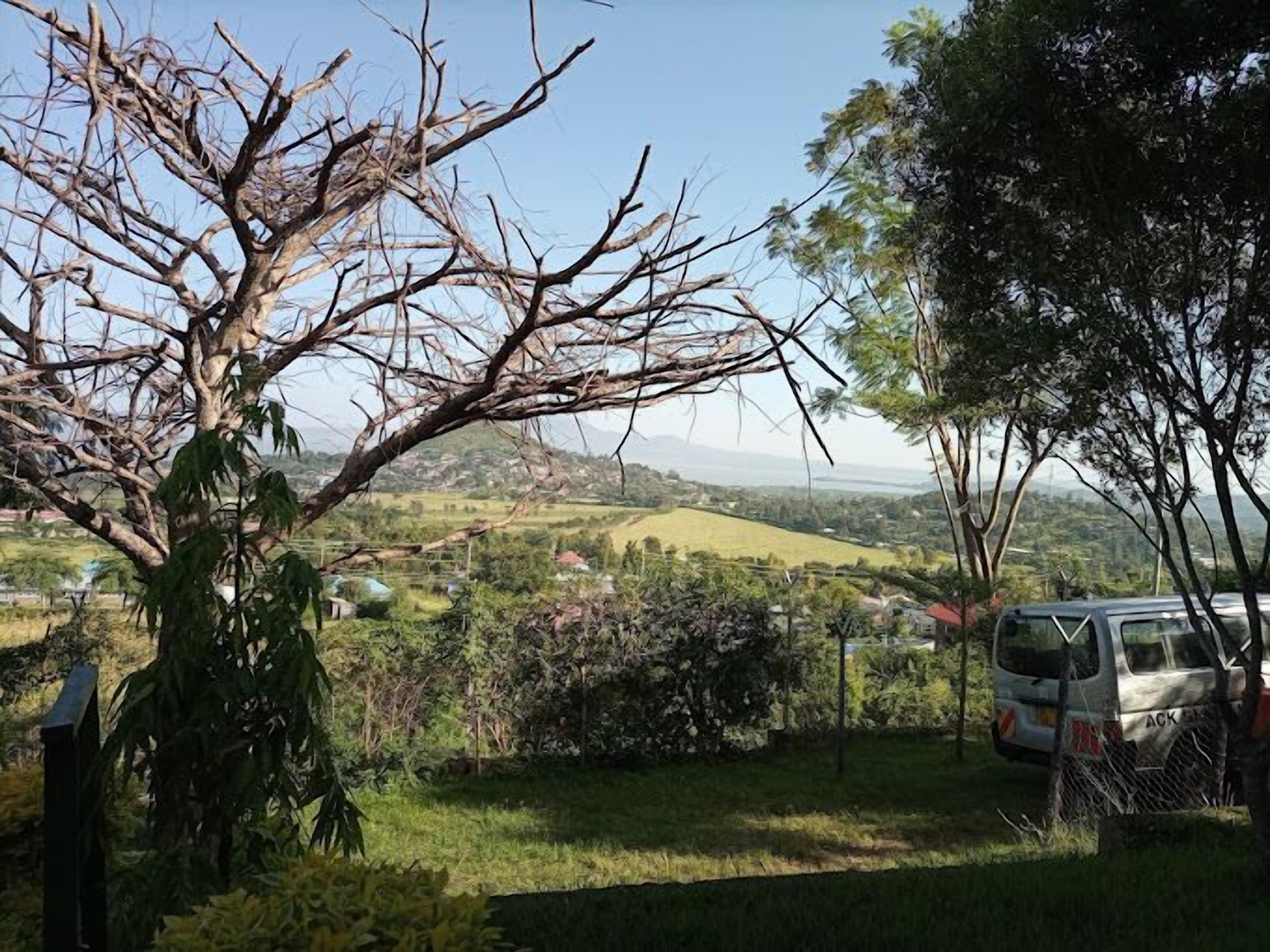 A rural landscape with a parked van, a tree, and a fence.