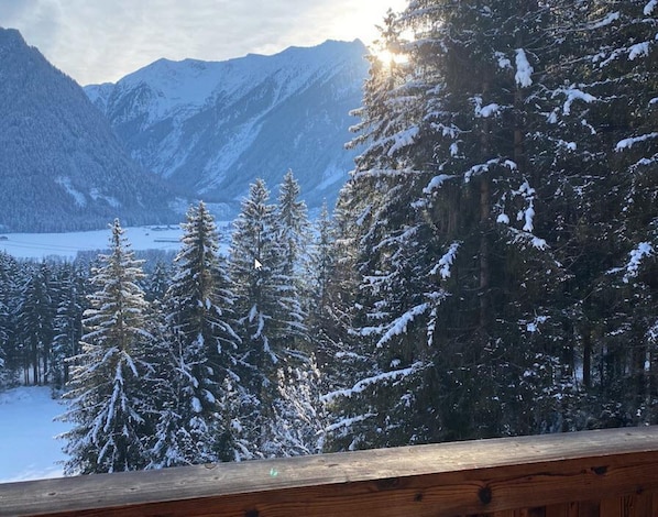 Chalet | Property grounds