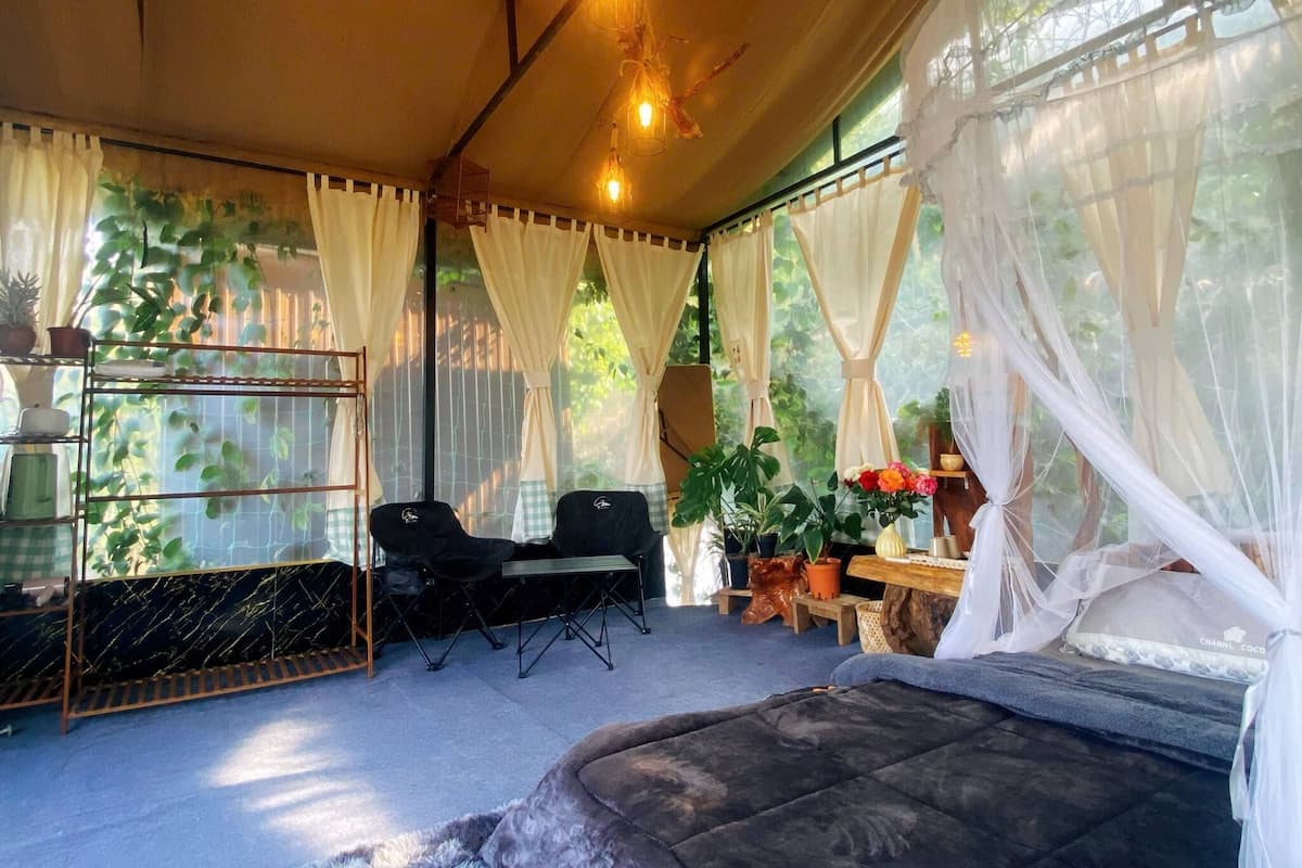 Una habitación acogedora con una cama, dos sillones, una mesita y una estantería con plantas.