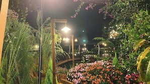 A garden with various plants and flowers, illuminated by hanging lights. - Mây Glamping (Xuan Truong - Da Lat)