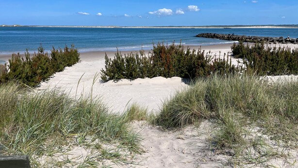 A sandy beach with sparse vegetation and a rocky breakwater in the distance.