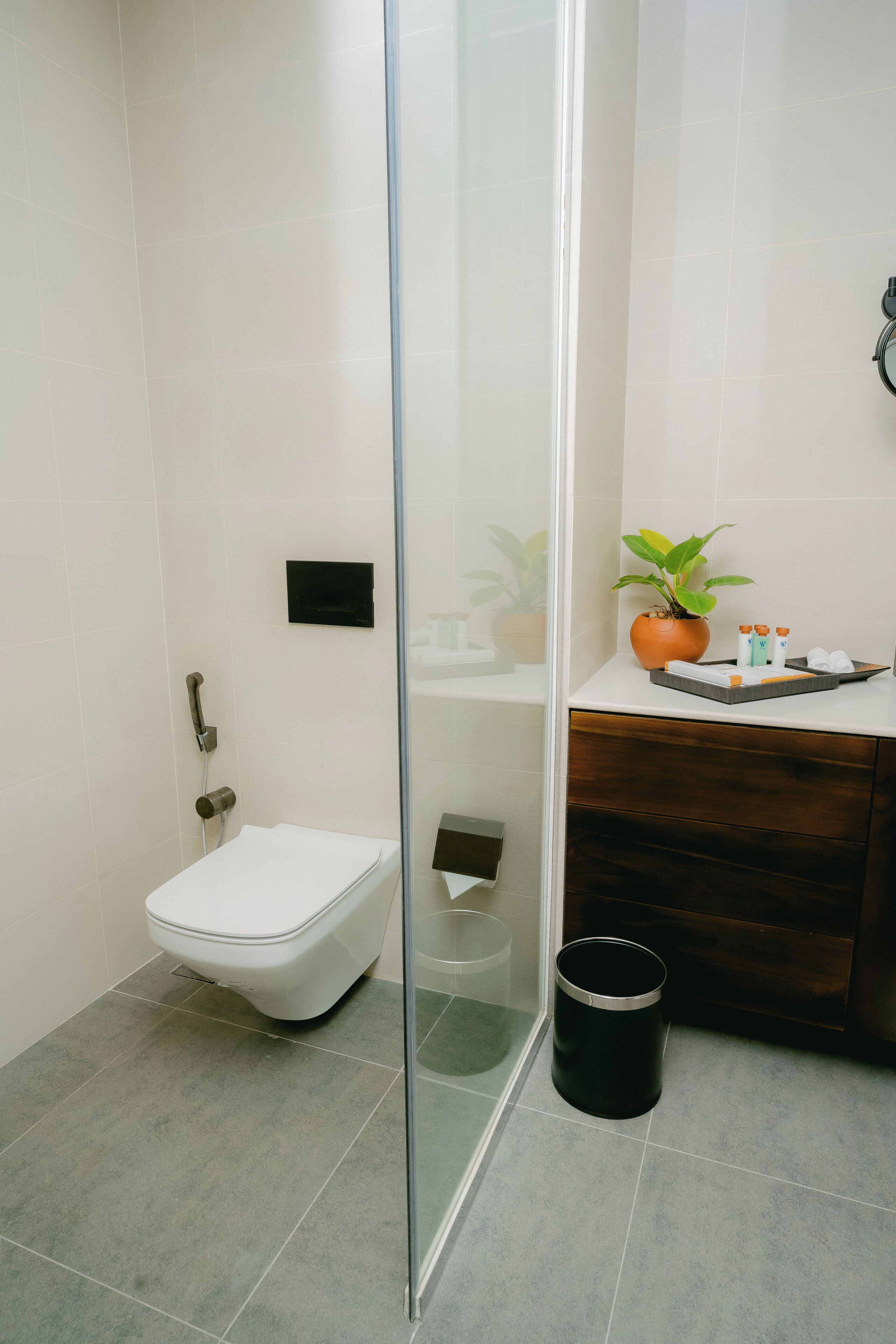 Ein Badezimmer mit Toilette, einer Duschkabine aus Glas, einem Waschbecken mit Pflegeprodukten und einer Zimmerpflanze.