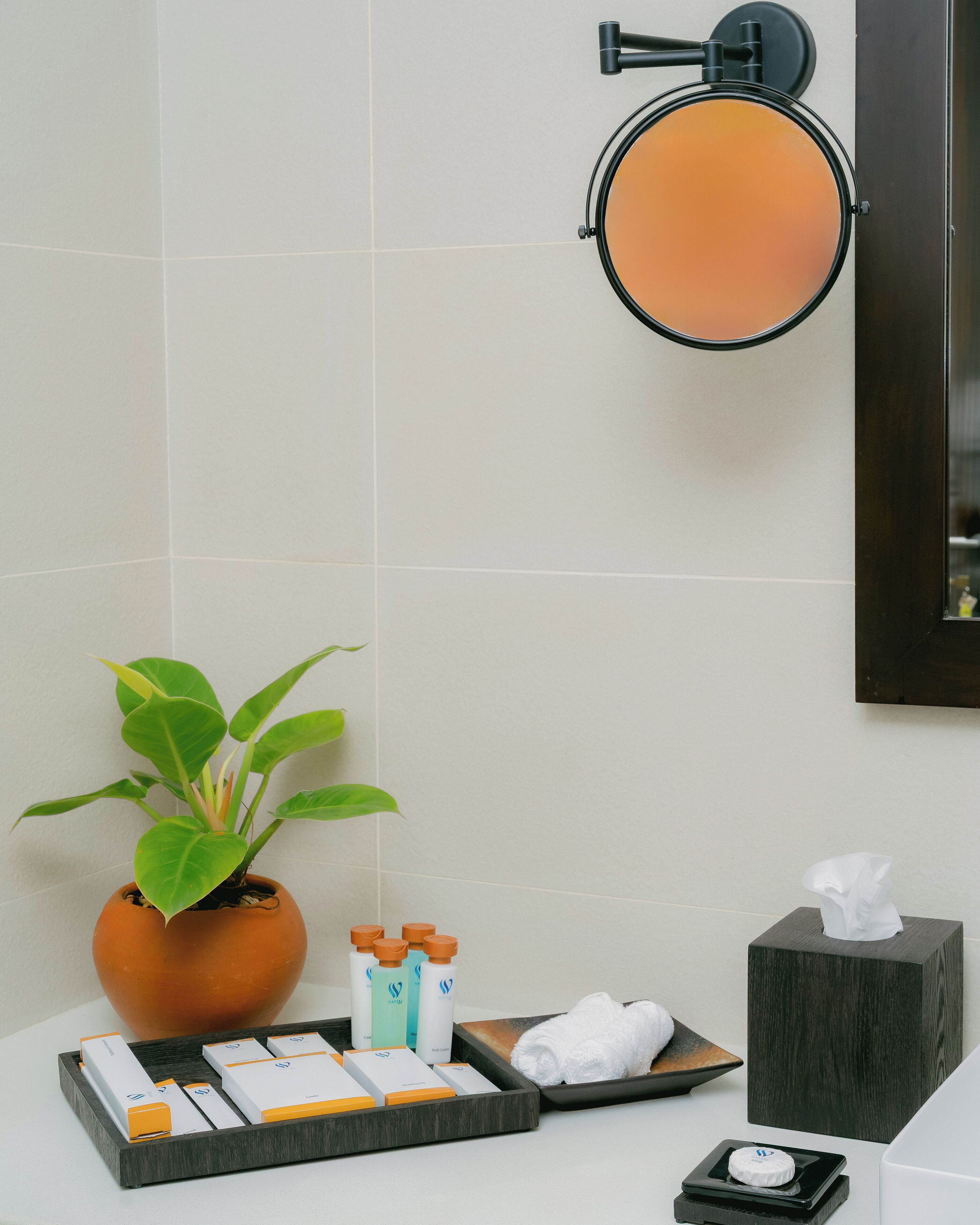 Une salle de bain avec un miroir, une plante en pot, des articles de toilette et une serviette.