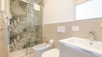 Shower, hair dryer, bidet, towels