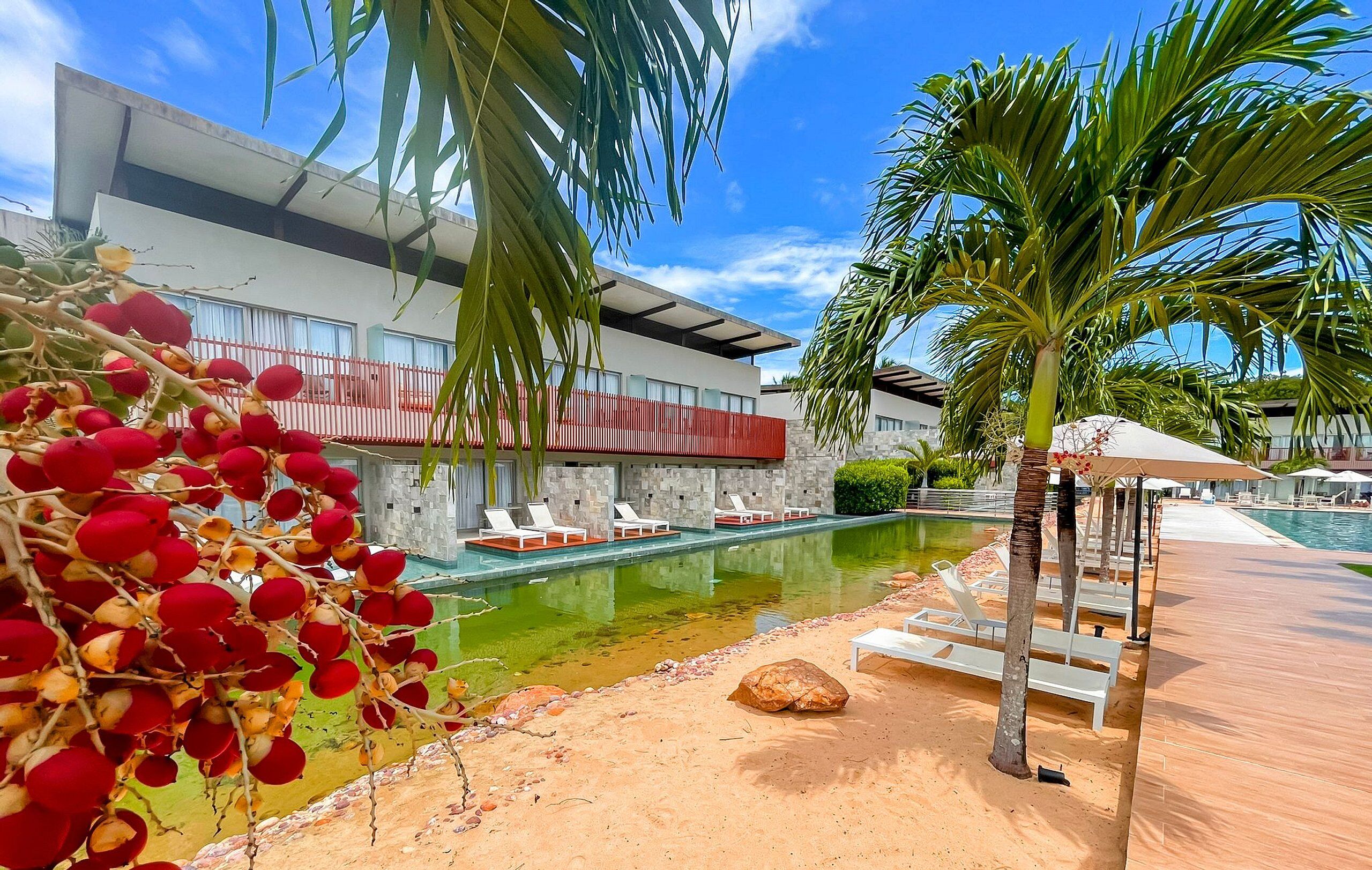 基础公寓 | 泳池 | 室外游泳池