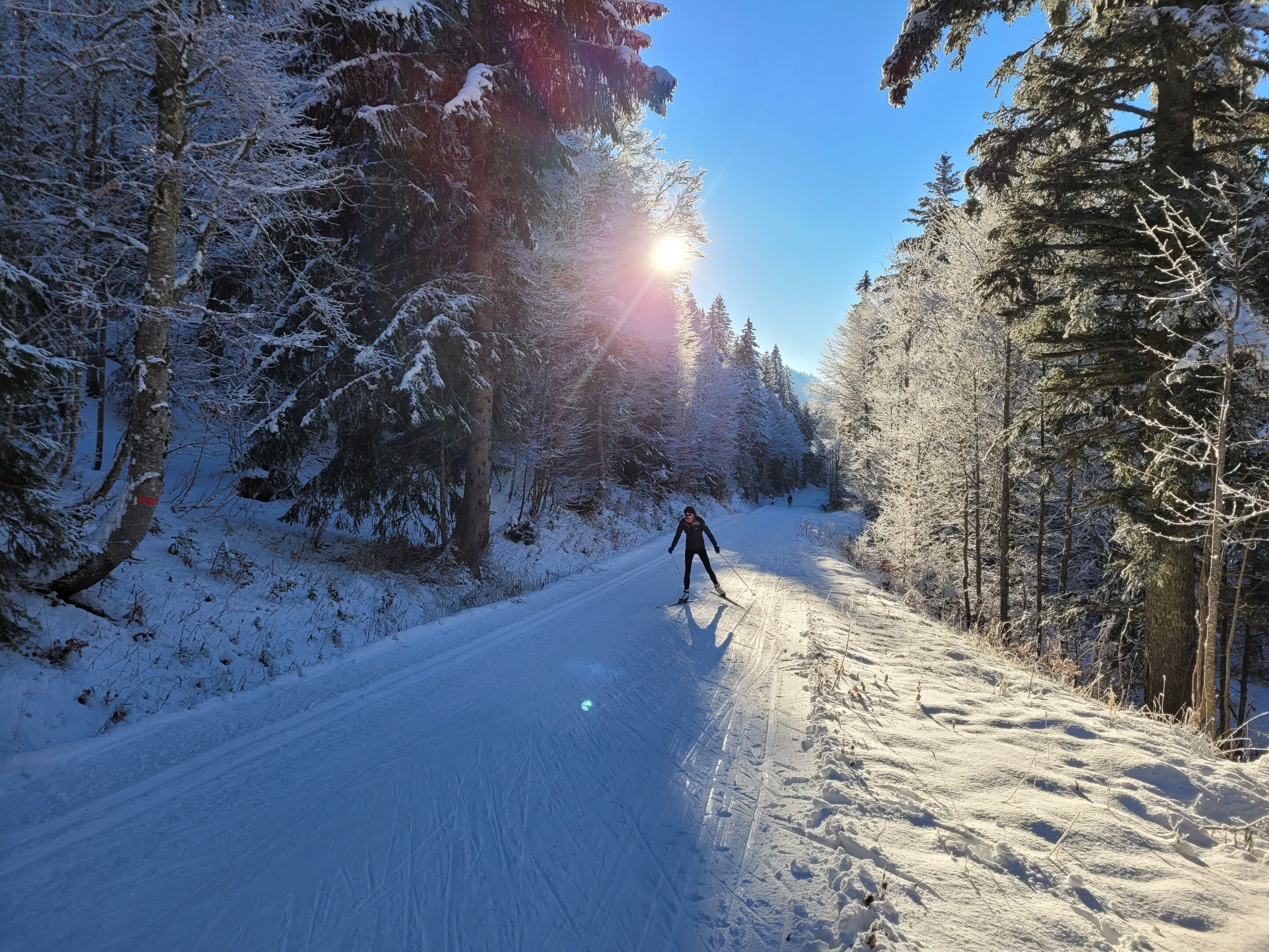 A snowy forest path with a skier.