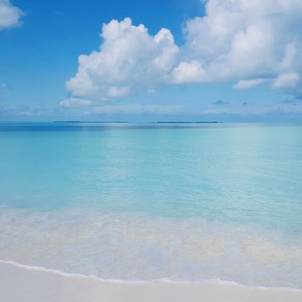 Chaises longues, serviettes de plage