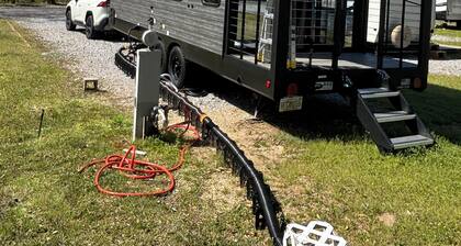 Timberwolf in the Park